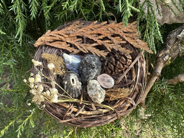 Grief Nest: A Nature Based Grief Group